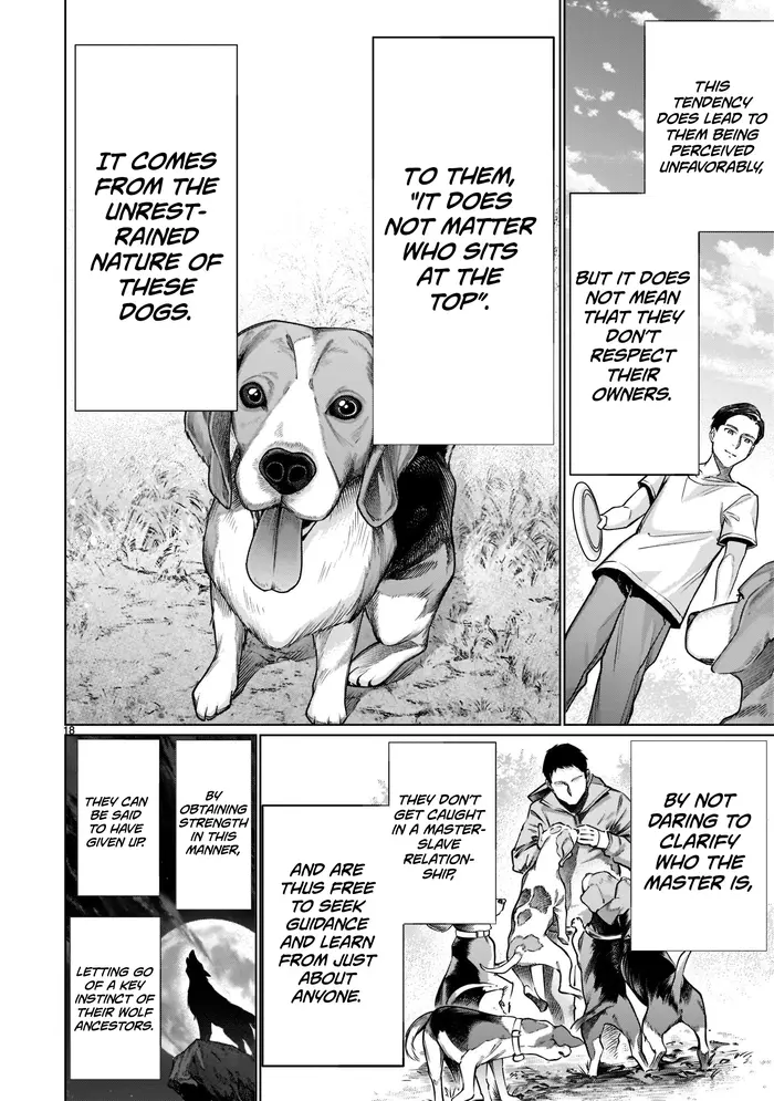 Killing Bites Chapter 97 image 16_optimized